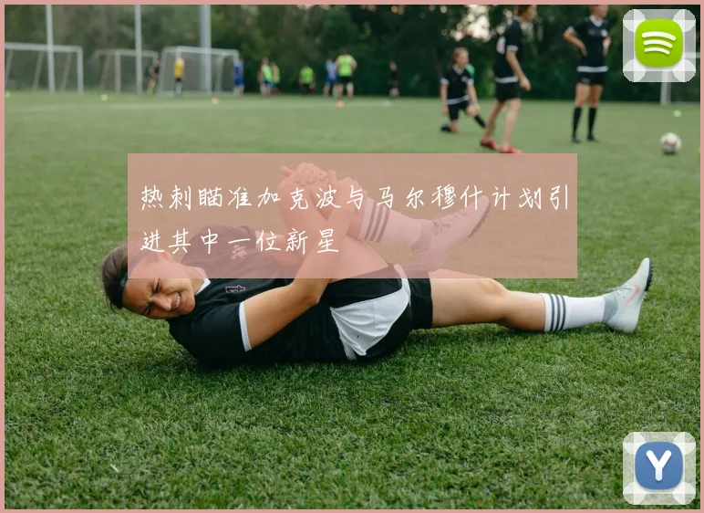 热刺瞄准加克波与马尔穆什计划引进其中一位新星